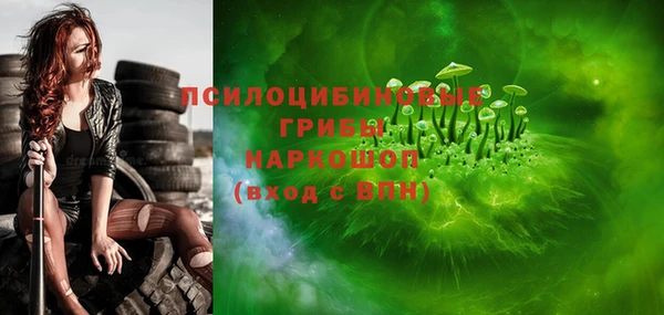 СК Аркадак