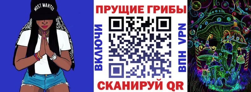 купить наркотик  ссылка на мегу онион  Галлюциногенные грибы Psilocybe  Снежинск 